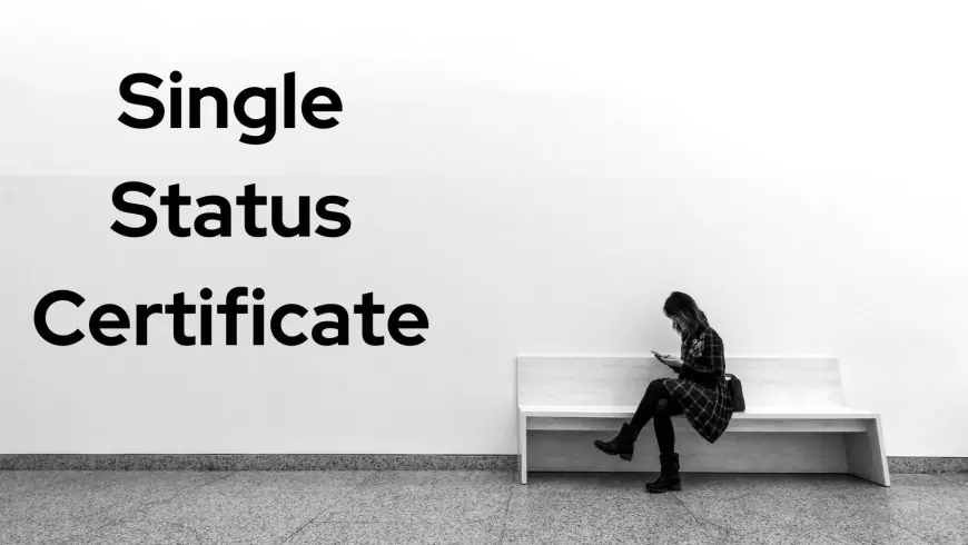 The Importance of a Single Status Certificate Apostille