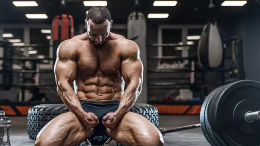 2023 Bodybuilding Trends: Here's How Deca Durabolin Takes the Lead