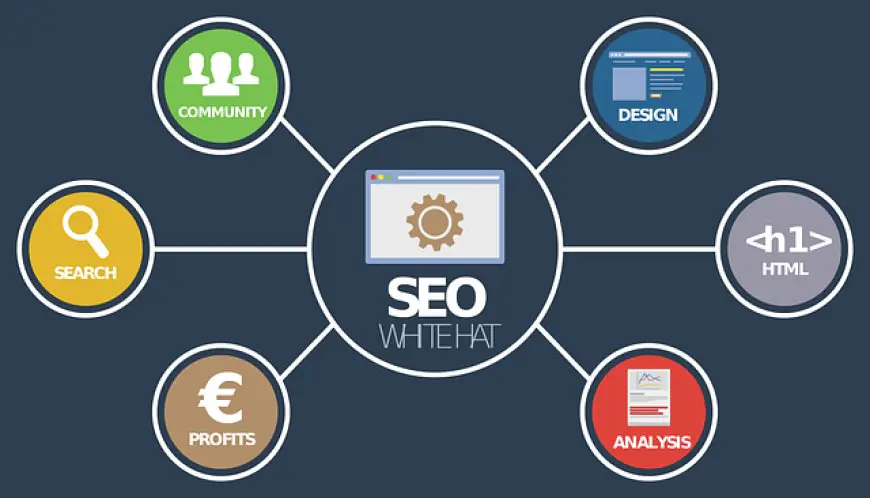 4 Digital Marketing SEO Tools To Power Charge Your SEO Campaign