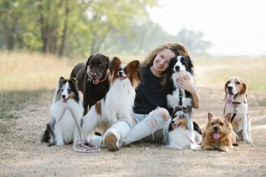 Family Farmstead Beagle Breeder: Things To Consider