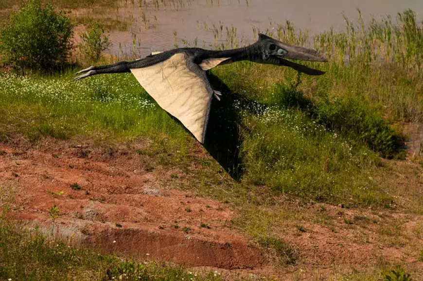 Teradactyl: Unveiling the Mysteries of the Ancient Skyborne Creature