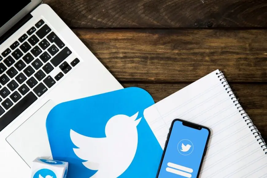 Twitter in 2024: Soaring Tweets and Growing Accounts - Your Guide to Success