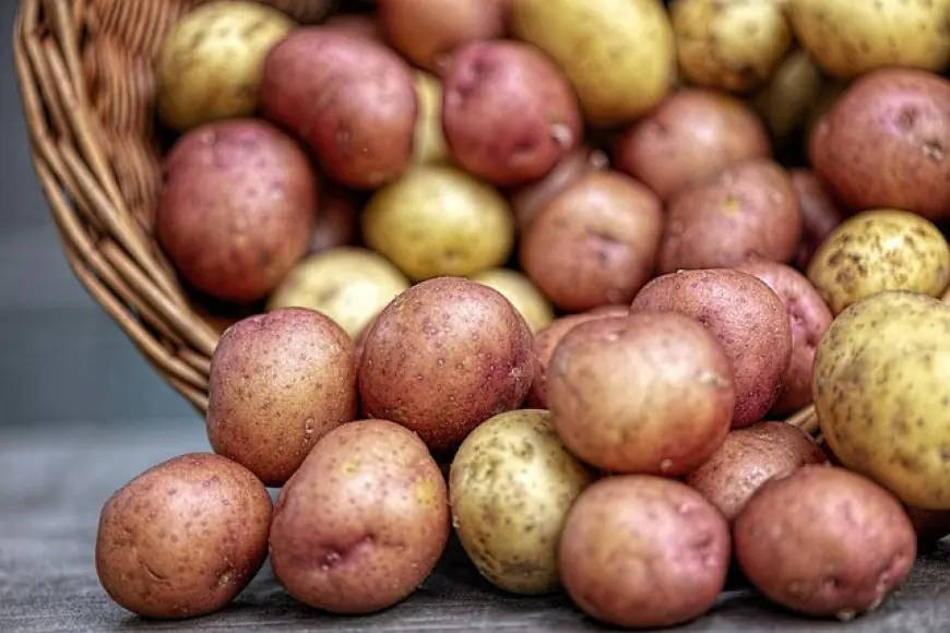 Triple the Potatoes: A Guide to Boosting Potato Yield