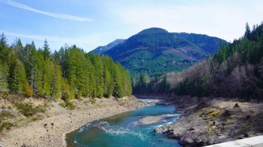 River Near Me: Unlocking the Hidden Gems of Nature