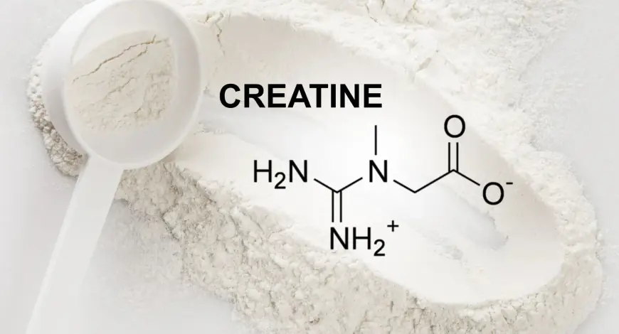 Why Creatine Became My Secret Weapon (and It Might Be Yours Too)