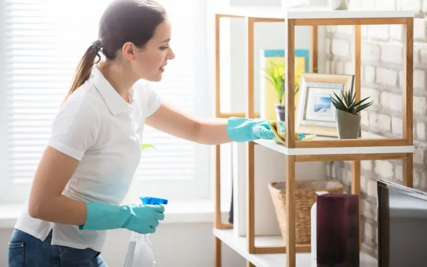 Unveiling the Sparkle: Your Guide to a Radiantly Clean Home