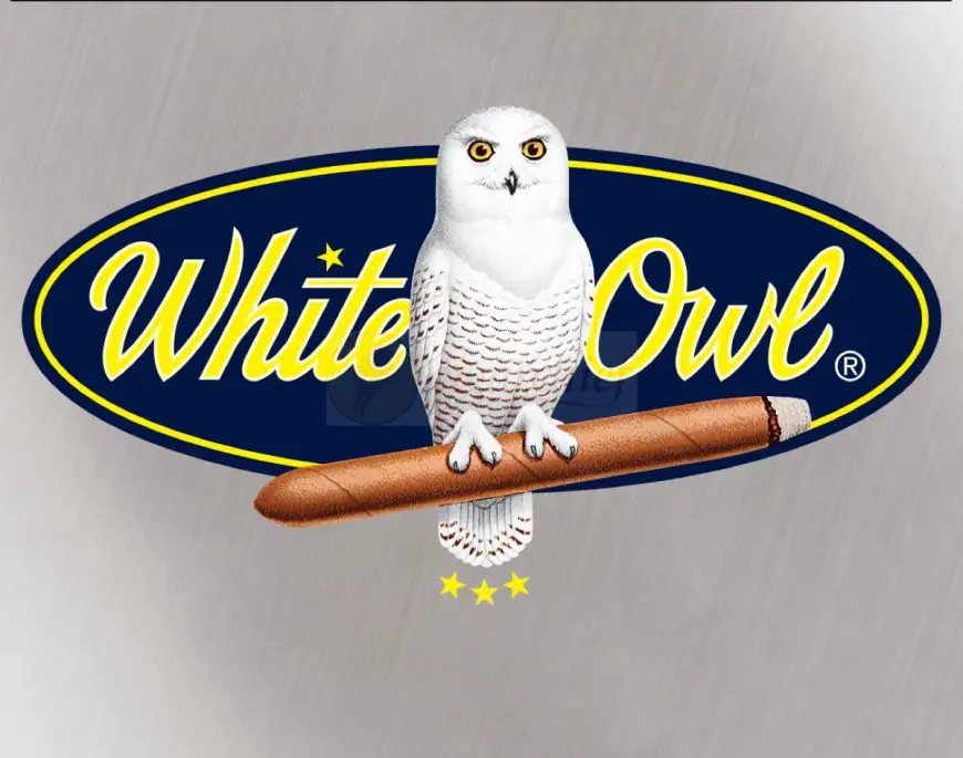 Everything You Should Know About White Owl