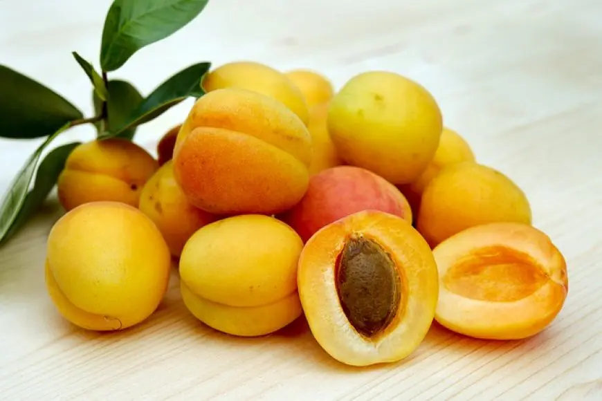 Apricots: The Versatile Fruit Worth Exploring