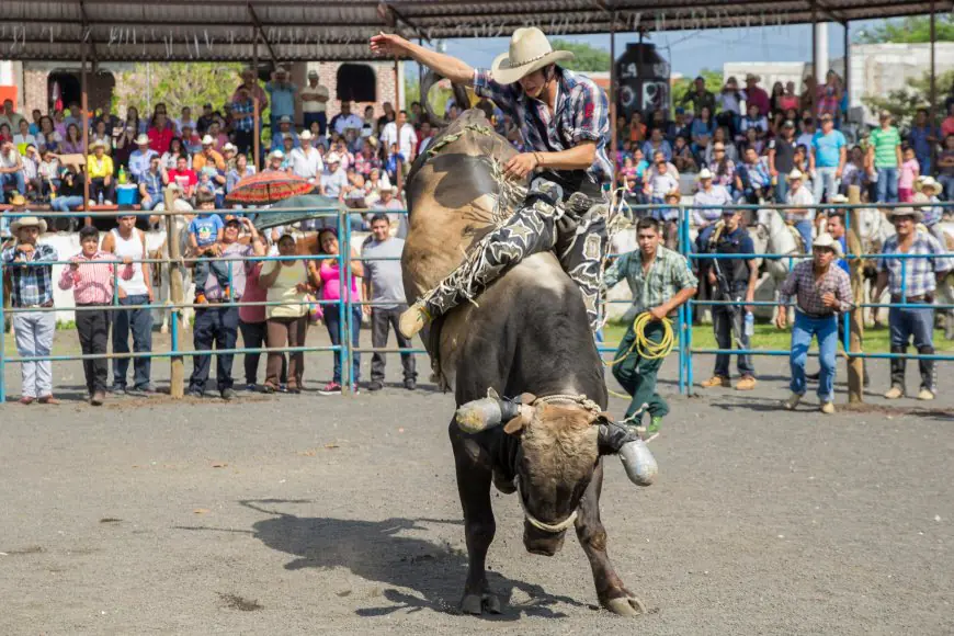 Exploring the Vibrant Tradition of Jaripeo: A Celebration of Mexican Culture