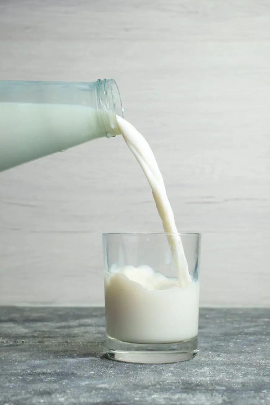 Understanding High Lipase Milk: What You Need to Know