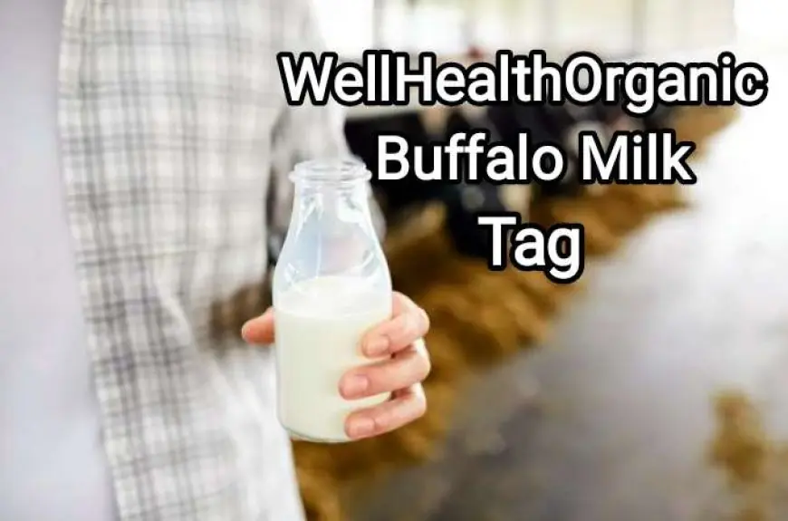 WellHealthOrganic Buffalo Milk: The Ultimate Guide to Nutritious Dairy