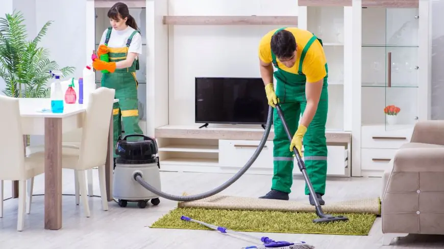 The Essential Guide to Choosing Carpet Contractors in Chicago