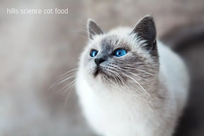 Title: A Comprehensive Review of Hill’s Science Diet Cat Food: Benefits, Insights, and Expert Advice