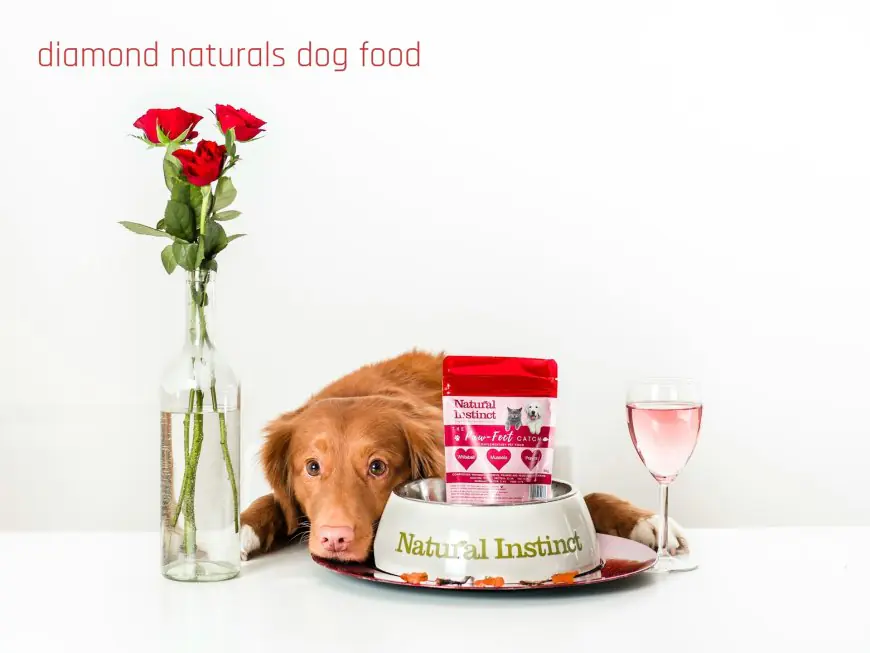 Diamond Naturals Dog Food: An In-Depth Look at Quality and Benefits